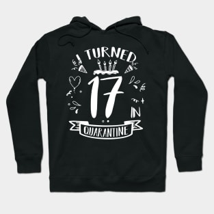 I Turned 17 In Quarantine Hoodie